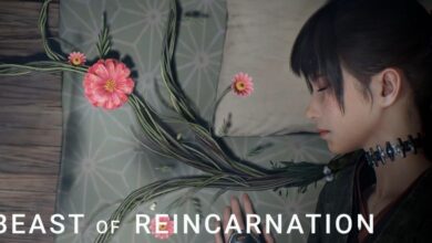 Beast of Reincarnation